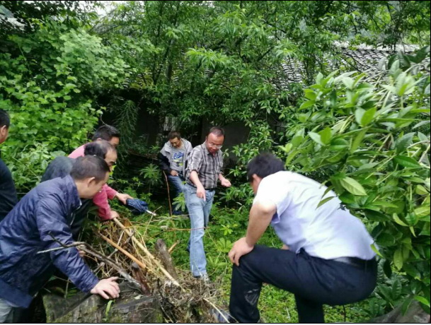 纪研究员一行发现疑似重楼新种
